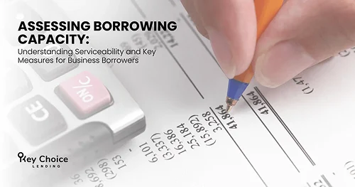 Serviceability and Key Measures for Business Borrowers
